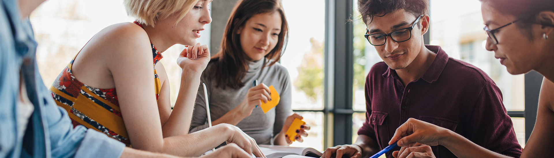 O que é neurociência da aprendizagem e como aplicar na sua preparação?